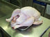 Fresh Turkey